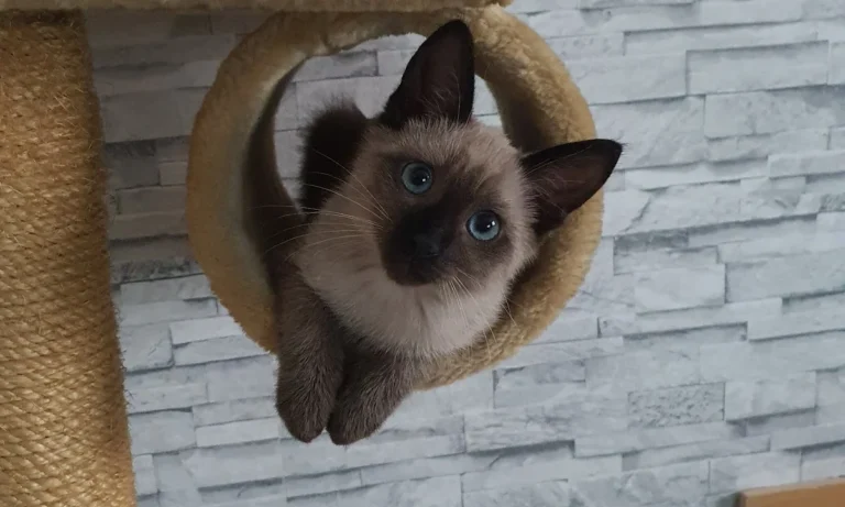 Tierarztpraxis Siegen Eiserfeld