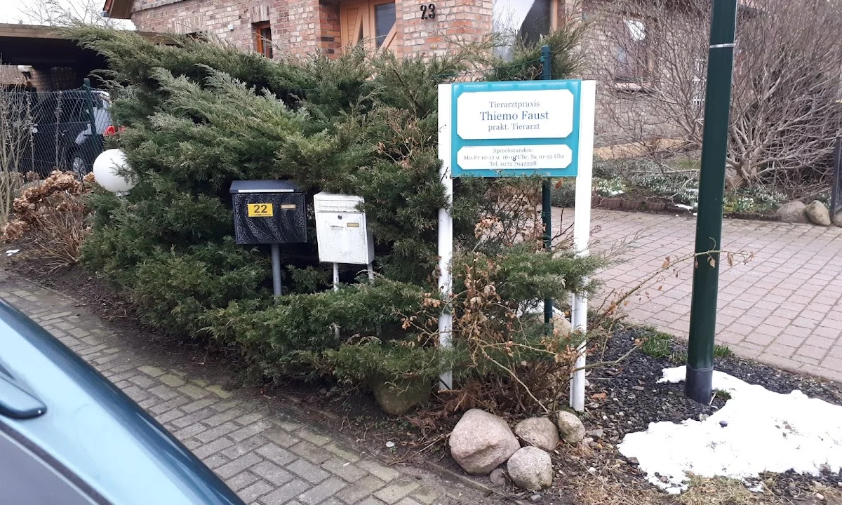 Tierarzt Tierarztpraxis Thiemo Faust Rostock