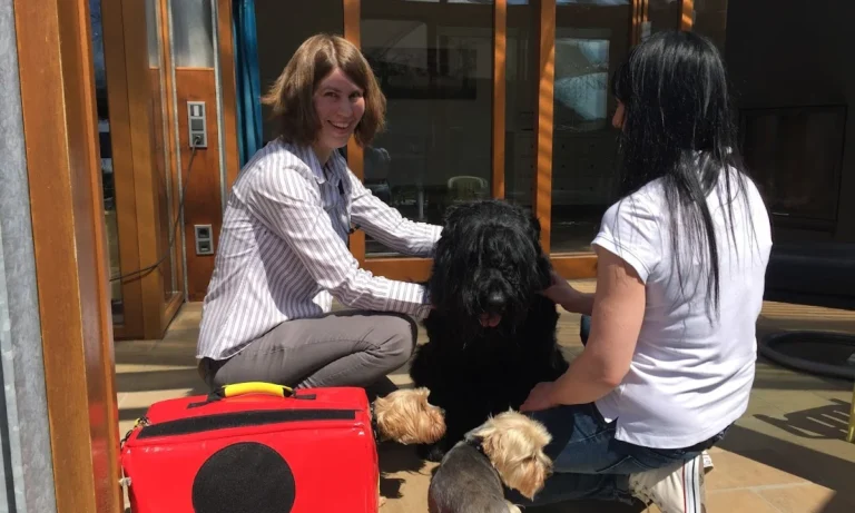 Tierarztpraxis von Harlessem