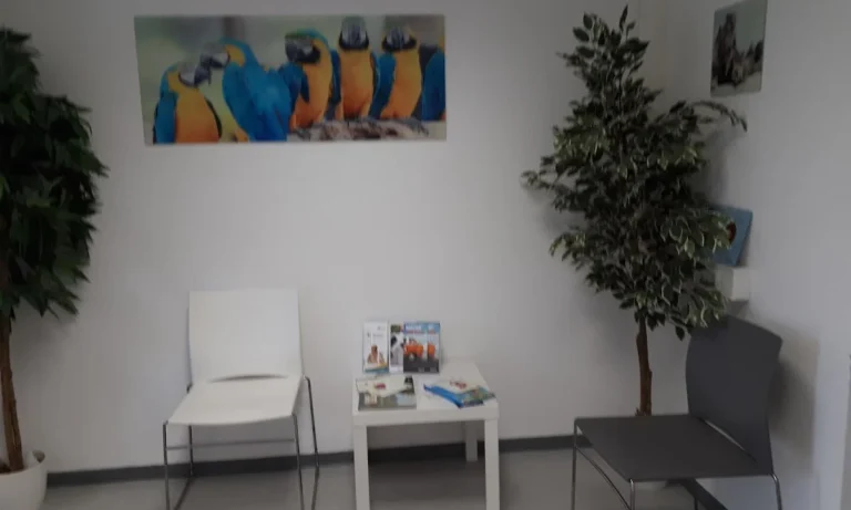 Tierarztpraxis Wallstadt