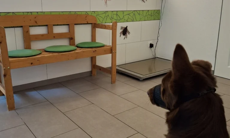 Tierarztpraxis Waltraud Nüßlein