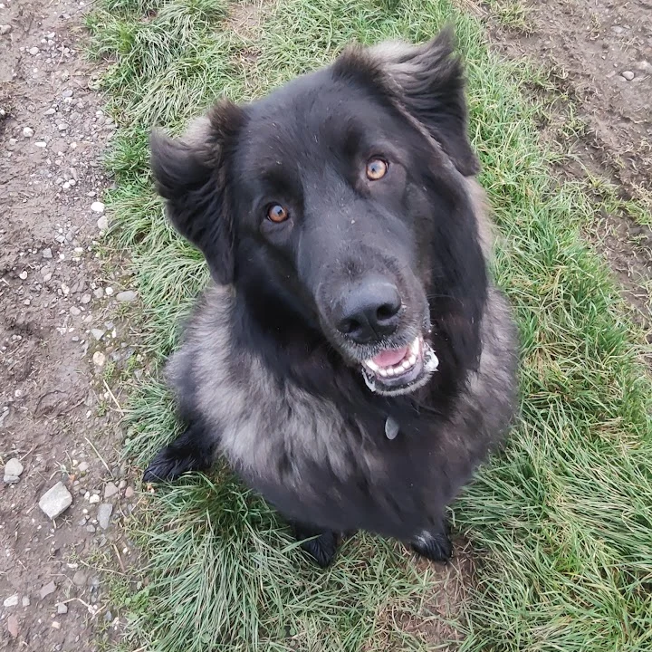 Tierarztpraxis Weiden