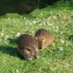 Tierarztpraxis Wendel Solingen