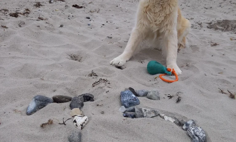 Tierarztpraxis Wendel Solingen