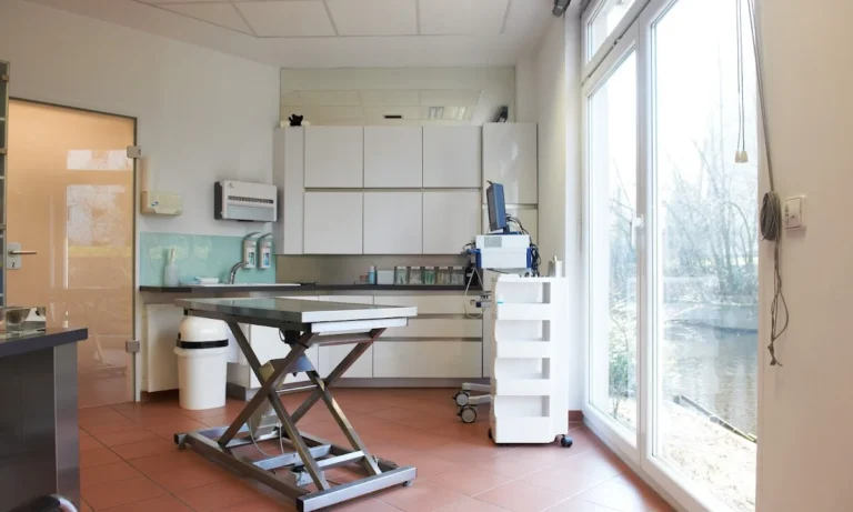 Tierarztpraxis Winterhude / Tierarztpraxis Dr. Ottensmeyer - Hamburg