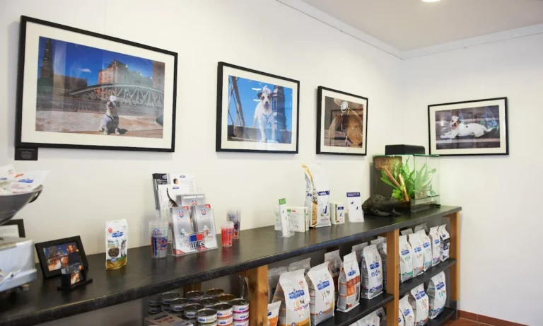 Tierarztpraxis Winterhude / Tierarztpraxis Dr. Ottensmeyer - Hamburg