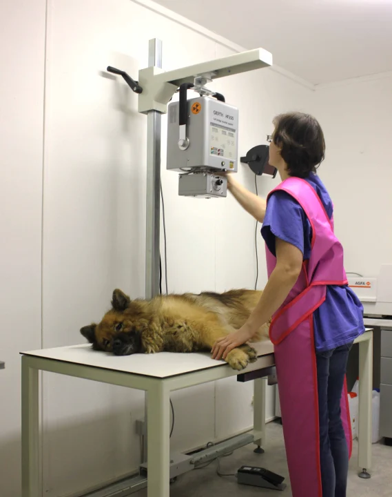 Tierarztpraxis Yumeico