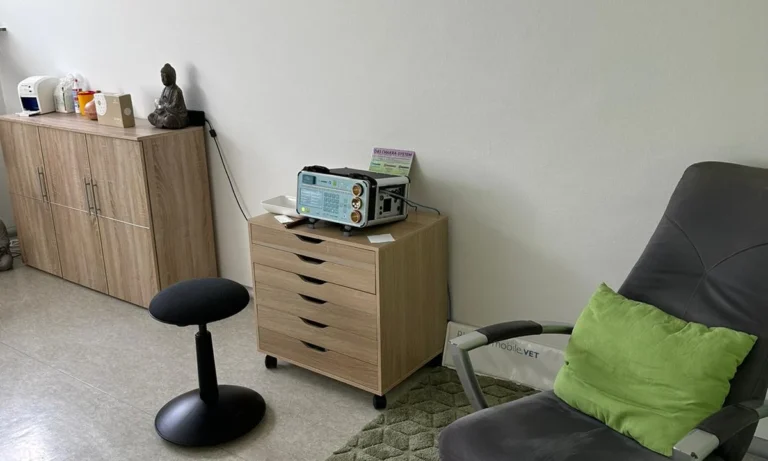 Tiergesundheit an der Saar GmbH