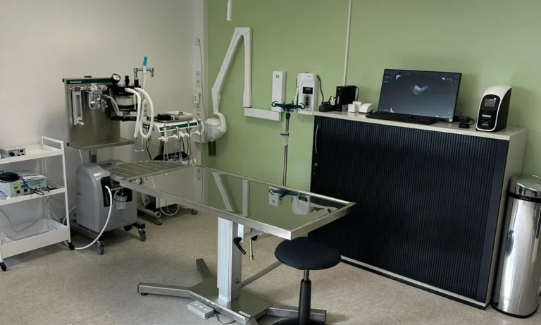Tiergesundheit an der Saar GmbH