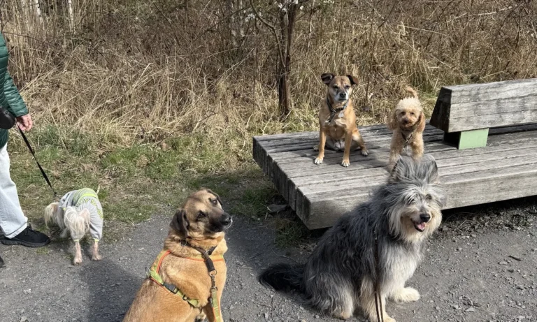 Tiergesundheit an der Saar GmbH