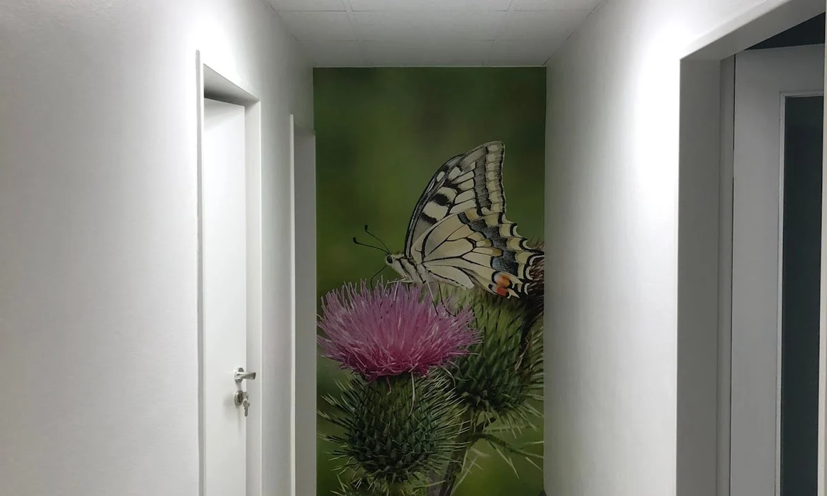 Tierarzt Tiergesundheit an der Saar GmbH Saarbrücken