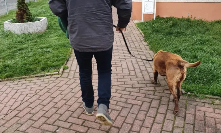 Tiergesundheitszentrum Gera-Lusan Dr. Sandra Fischer, Fachtierarzt für Klein- und Heimtiere