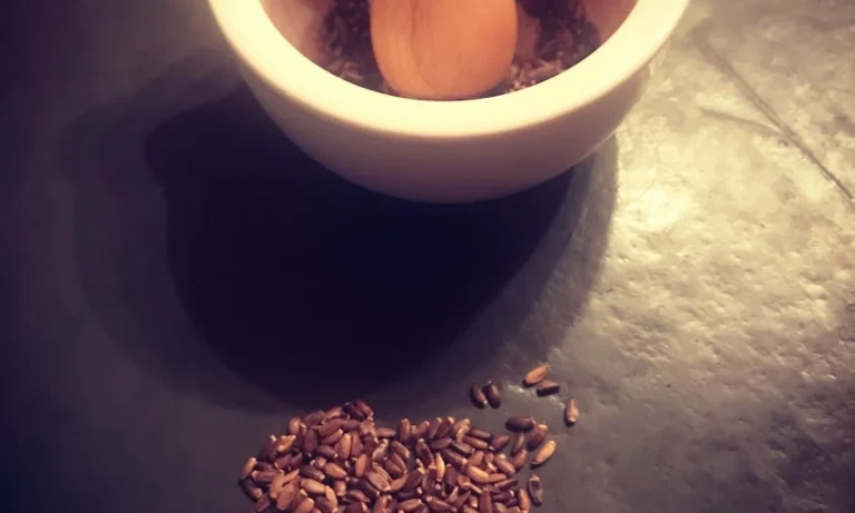 Tierheilpraxis Lerner - Tiernaturheilkunde & Tierphysiotherapie