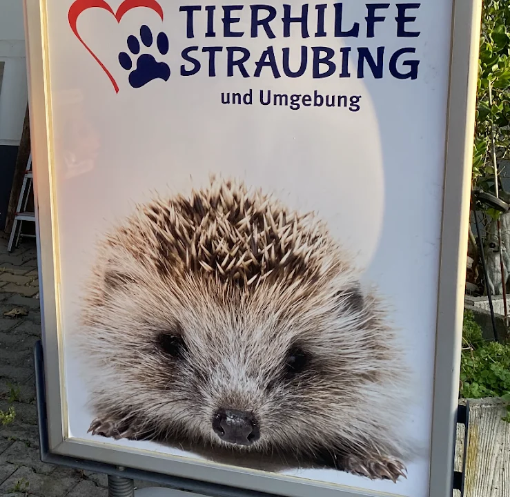 Tierarzt Tierhilfe Straubing und Umgebung Straubing