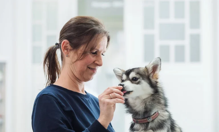 Tierklinik Fuhlsbüttel