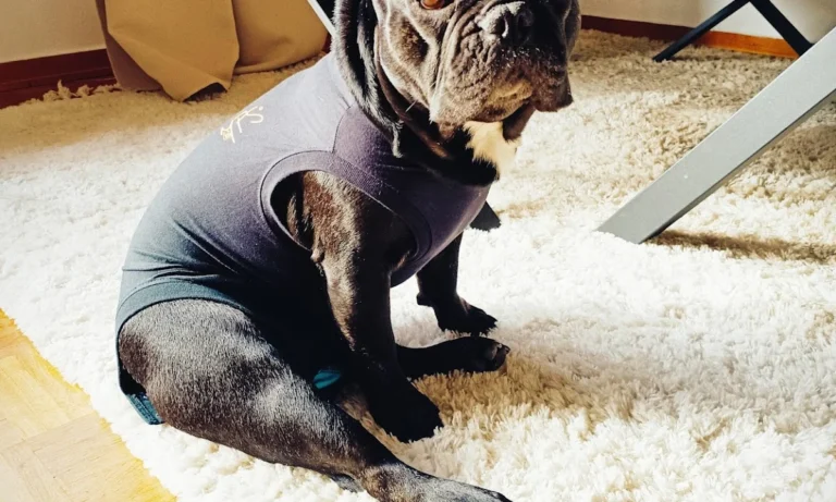 Tierklinik Fuhlsbüttel