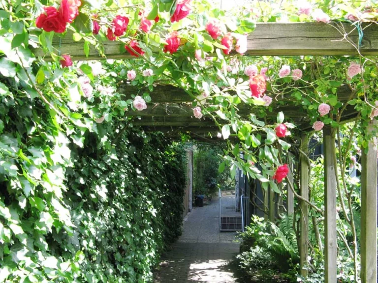 Tierklinik Fuhlsbüttel