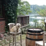 Tierklinik im Alstertal