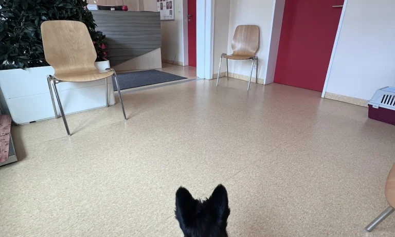 Tierklinik im Alstertal