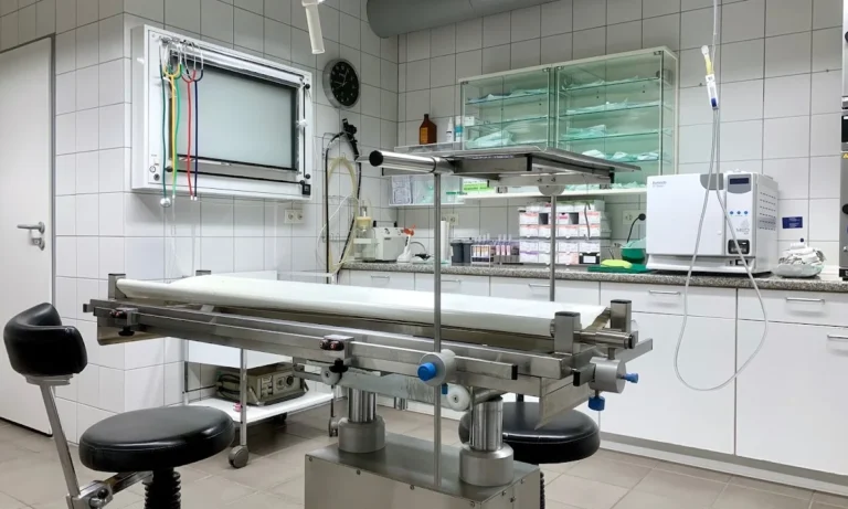 Tierklinik Zweibrücken - Dr. Liana Meisel-Gehl