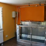 Tierphysio PFOTEN LEBEN