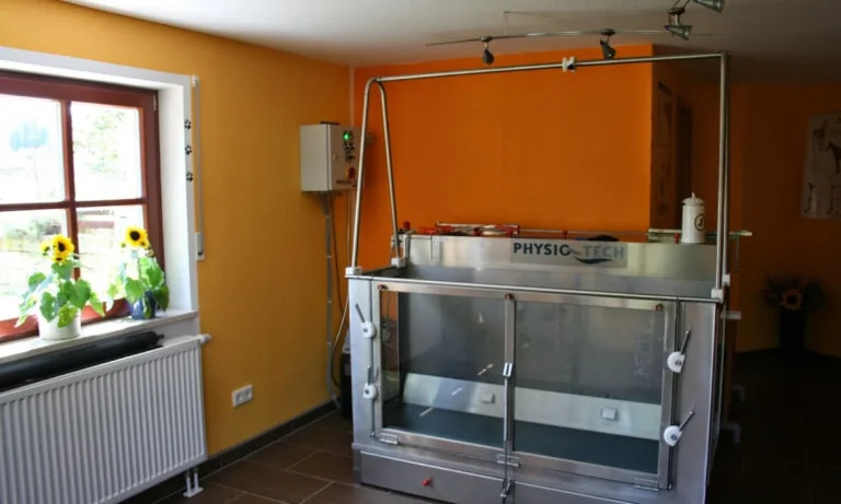 Tierphysio PFOTEN LEBEN