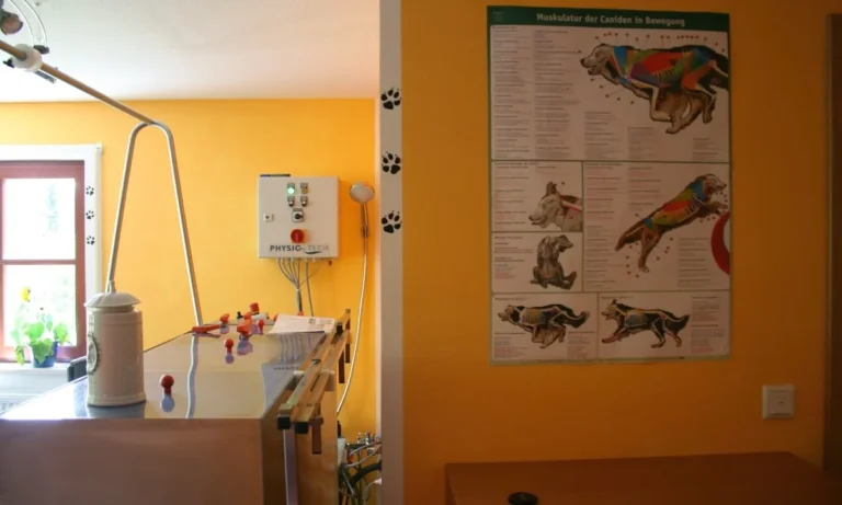 Tierphysio PFOTEN LEBEN