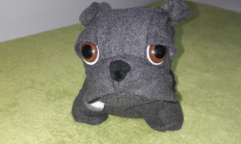 Tierphysiotherapie Solingen-Gräfrath