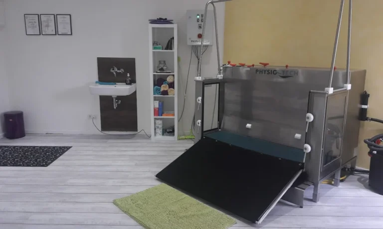 Tierphysiotherapie Solingen-Gräfrath