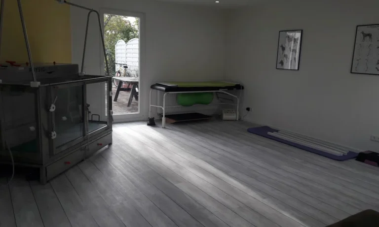 Tierphysiotherapie Solingen-Gräfrath