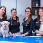 Tierpraxis im Zooviertel | Fachpraxis Tierzahnheilkunde & Innere Medizin, Fachtierärztliche Praxis für Kleintiere