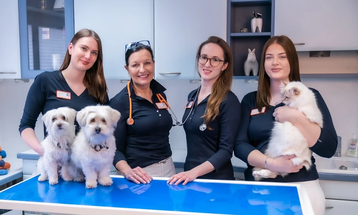 Tierarzt Tierpraxis im Zooviertel | Fachpraxis Tierzahnheilkunde & Innere Medizin, Fachtierärztliche Praxis für Kleintiere Hannover