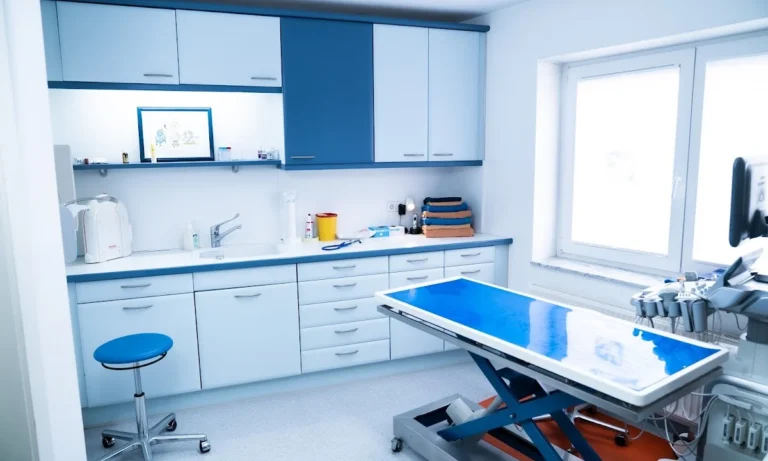 Tierpraxis im Zooviertel | Fachpraxis Tierzahnheilkunde & Innere Medizin, Fachtierärztliche Praxis für Kleintiere