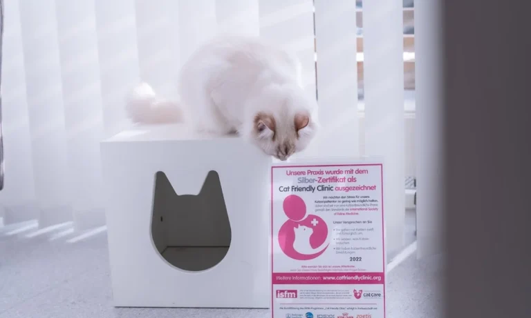 Tierpraxis im Zooviertel | Fachpraxis Tierzahnheilkunde & Innere Medizin, Fachtierärztliche Praxis für Kleintiere