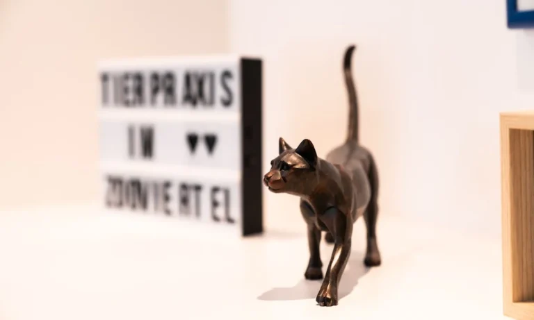 Tierpraxis im Zooviertel | Fachpraxis Tierzahnheilkunde & Innere Medizin, Fachtierärztliche Praxis für Kleintiere