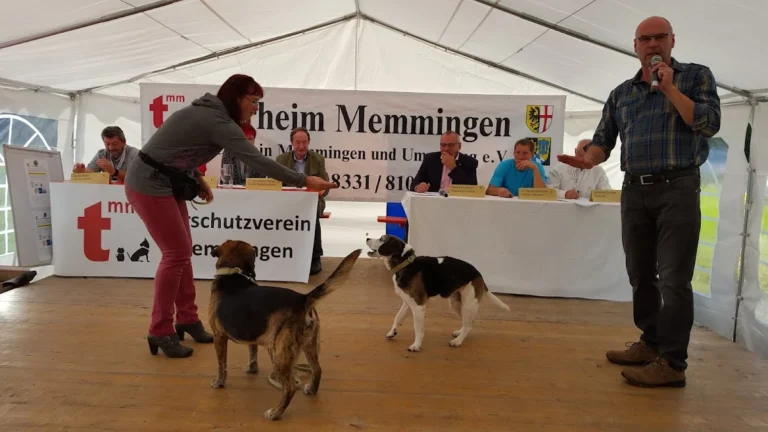 Tierschutzverein Memmingen u.Umgebung e.V.