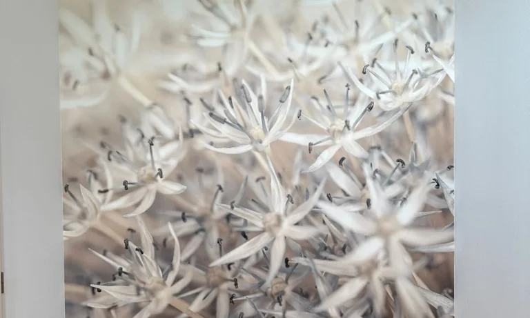 TK Raumgestaltung - Tino Krines