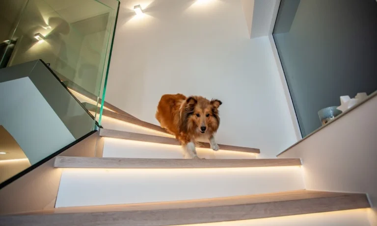 V.D. Elektrotechnik GmbH