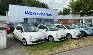 Westerbarkei