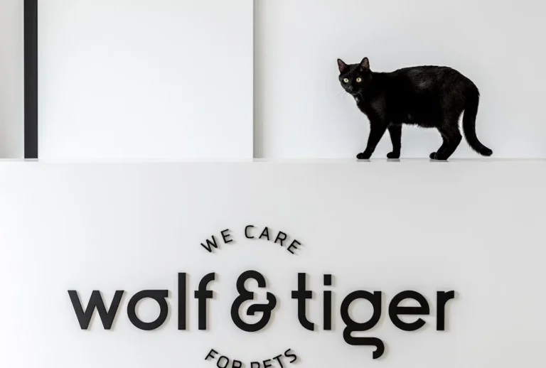 Wolf & Tiger Tierarztpraxis Dresden am Goldenen Reiter