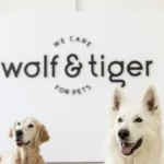 Wolf & Tiger Tierarztpraxis Dresden am Goldenen Reiter