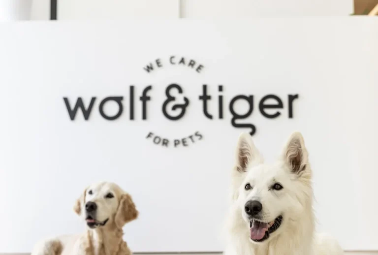 Wolf & Tiger Tierarztpraxis Dresden am Goldenen Reiter
